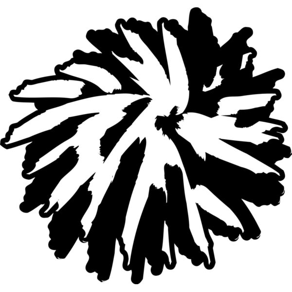 POMPOM6 Thumbnail