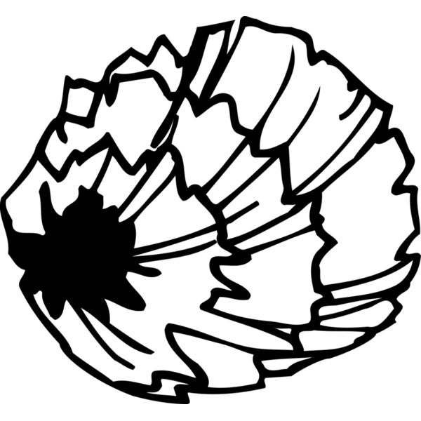 POM01 Thumbnail