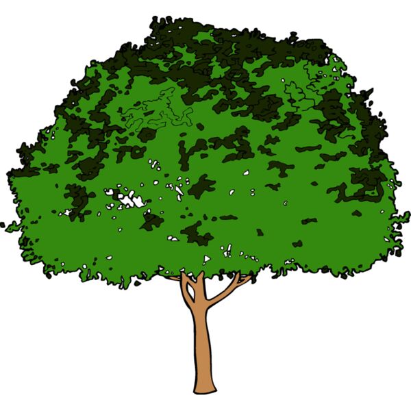 tree3 Thumbnail