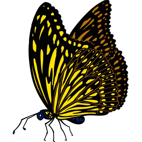 es3butterfly01clr Thumbnail
