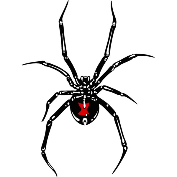 es2spider002clr Thumbnail
