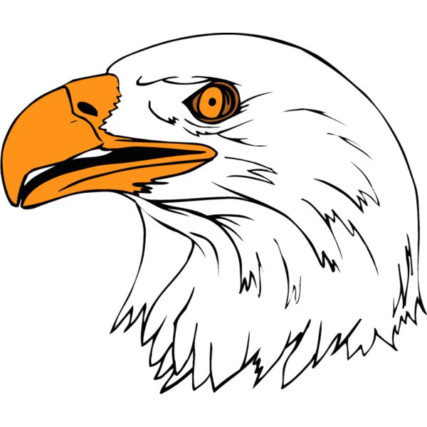 eagle1 Thumbnail