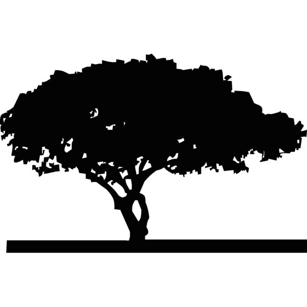 tree1 Thumbnail