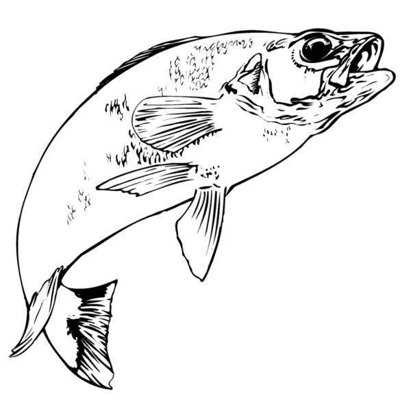 fish Thumbnail