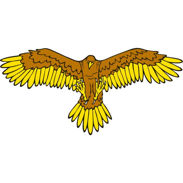 eagle11 Thumbnail