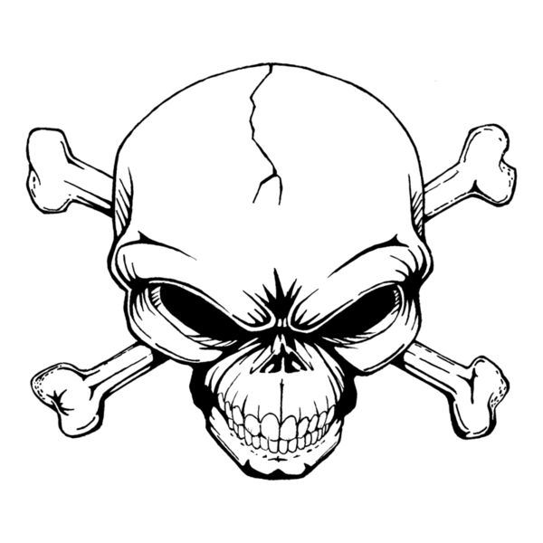 skull Thumbnail