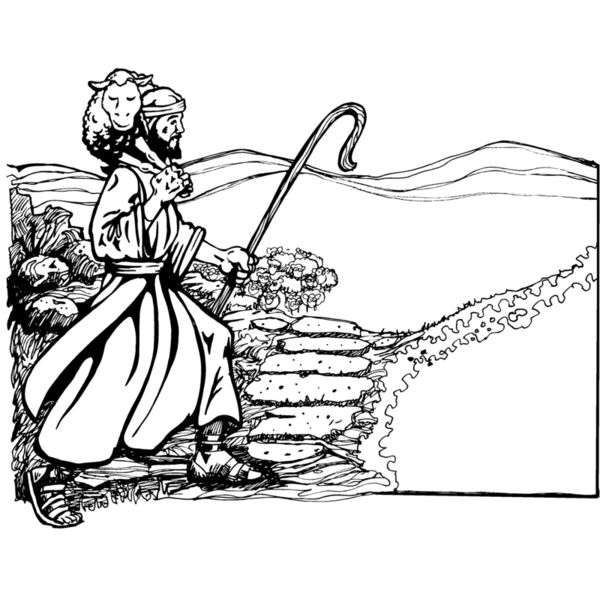 shepherd Thumbnail