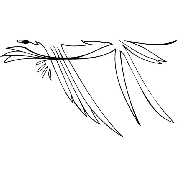 lines11 Thumbnail