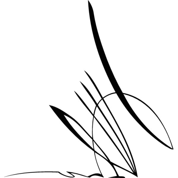 lines18 Thumbnail