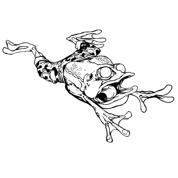 frog4 Thumbnail