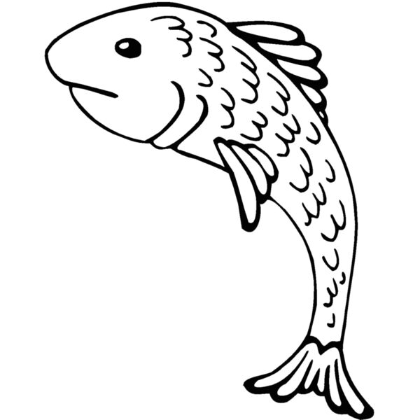 fish Thumbnail