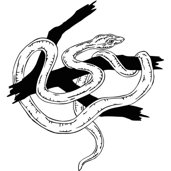 snake8 Thumbnail