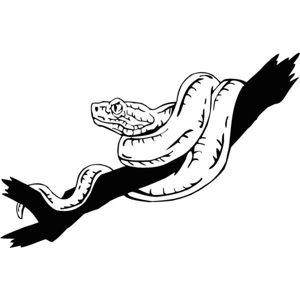 snake6 Thumbnail