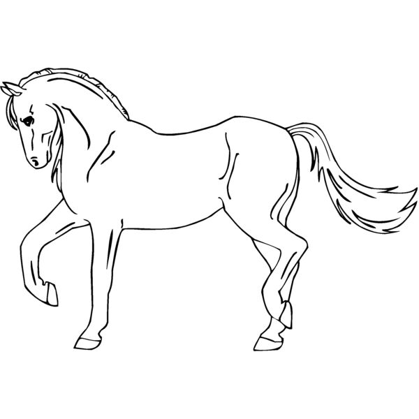 lhorse Thumbnail