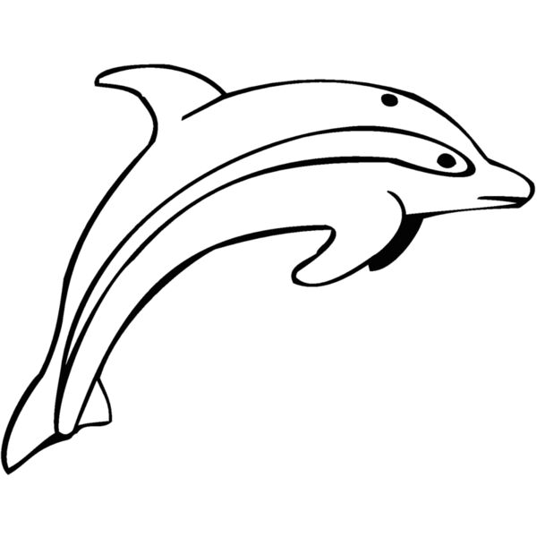 dolphin29 Thumbnail