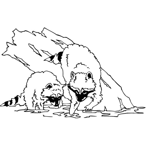 racoonwf Thumbnail
