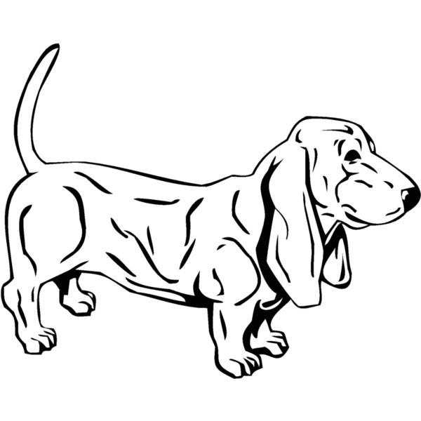 dog Thumbnail