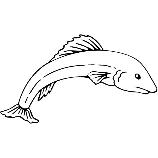 fish2 Thumbnail
