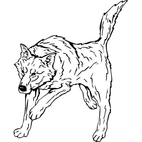 wolf7 Thumbnail