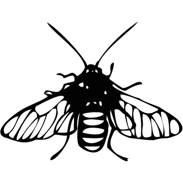 bee mimi Thumbnail
