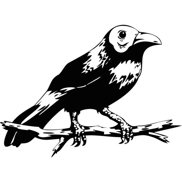 bird8 Thumbnail