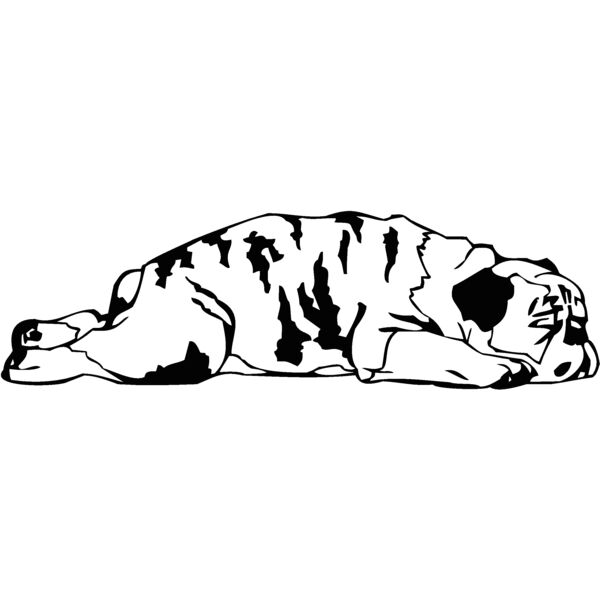 dog11 Thumbnail