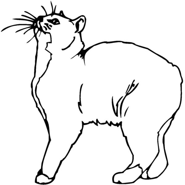 manx Thumbnail