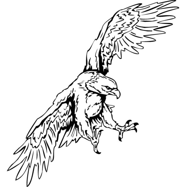 eagle2 Thumbnail