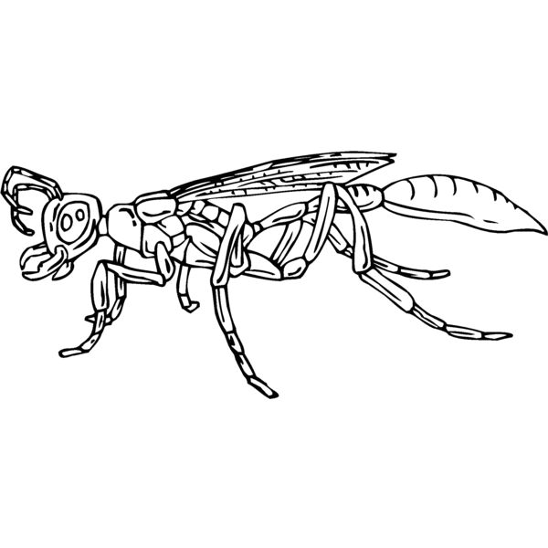 wasp Thumbnail