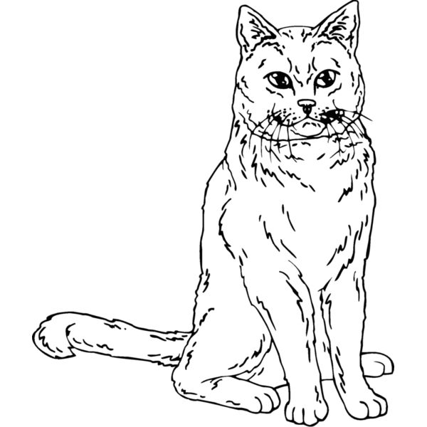 chartreu Thumbnail