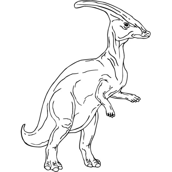 parasau2 Thumbnail