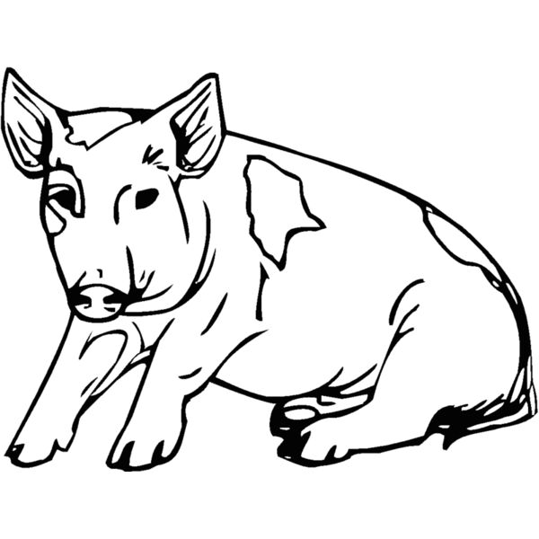 piglet Thumbnail