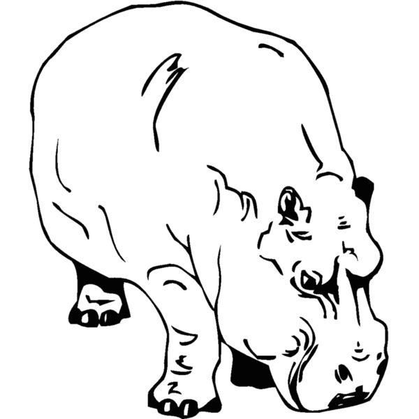 hippo Thumbnail