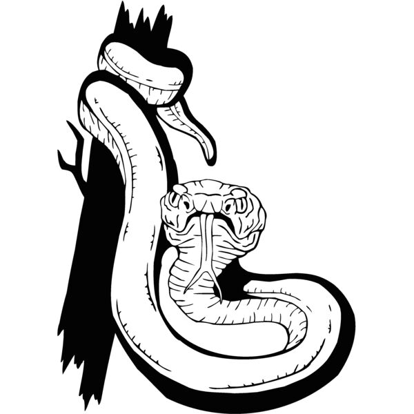 snake7 Thumbnail
