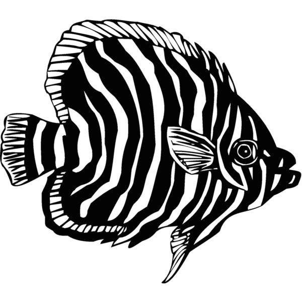 fish9 Thumbnail