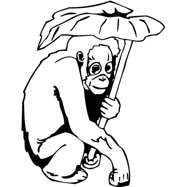 orangutan Thumbnail