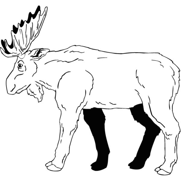 moose6 Thumbnail