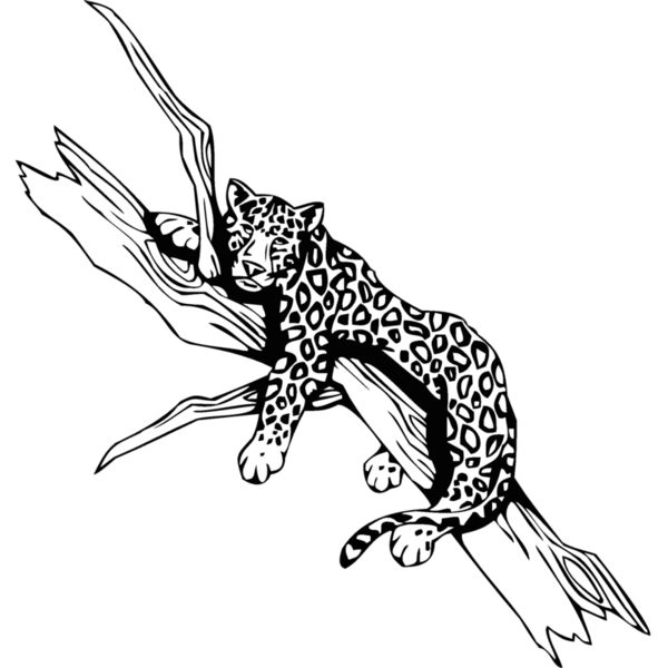 jaguar Thumbnail