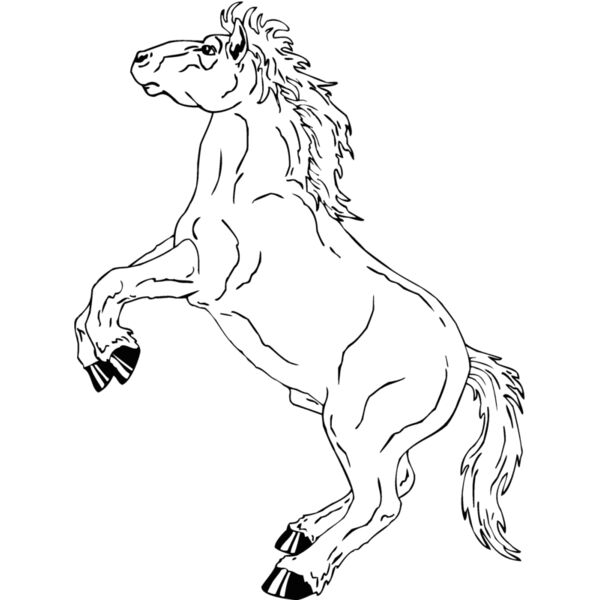 horse11 Thumbnail
