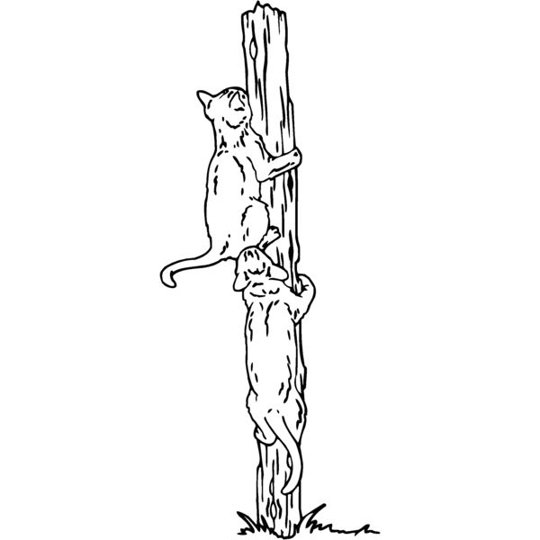 cats on  Thumbnail