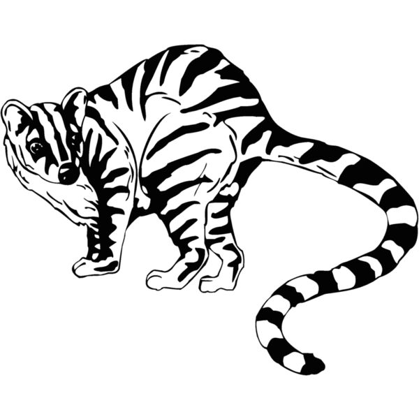 palmcivet Thumbnail