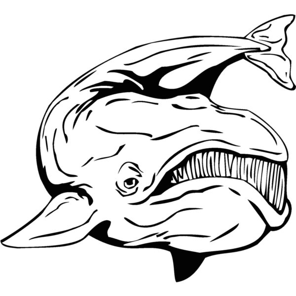whale3 Thumbnail