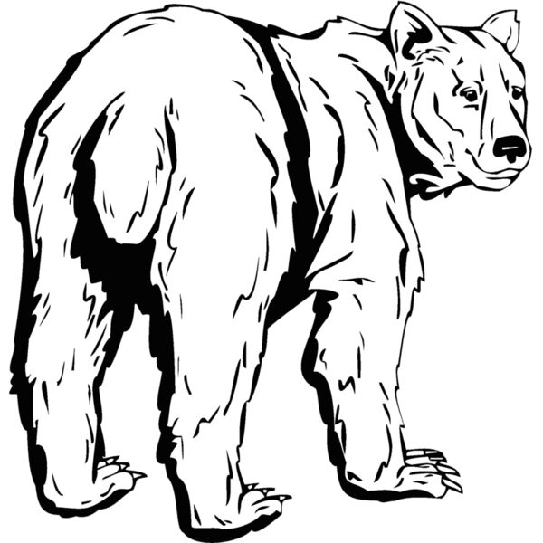 bear43 Thumbnail