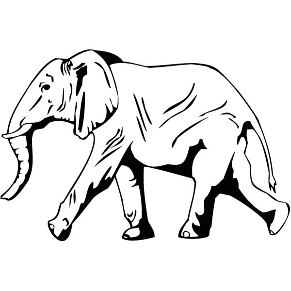 elephan3 Thumbnail
