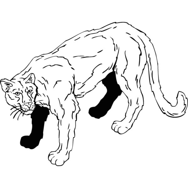 cougar3 Thumbnail