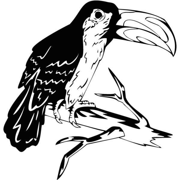 bird10 Thumbnail