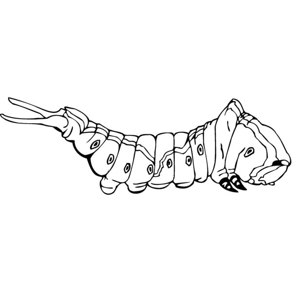 puss mot Thumbnail