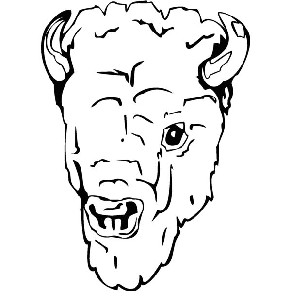 bisonhd Thumbnail