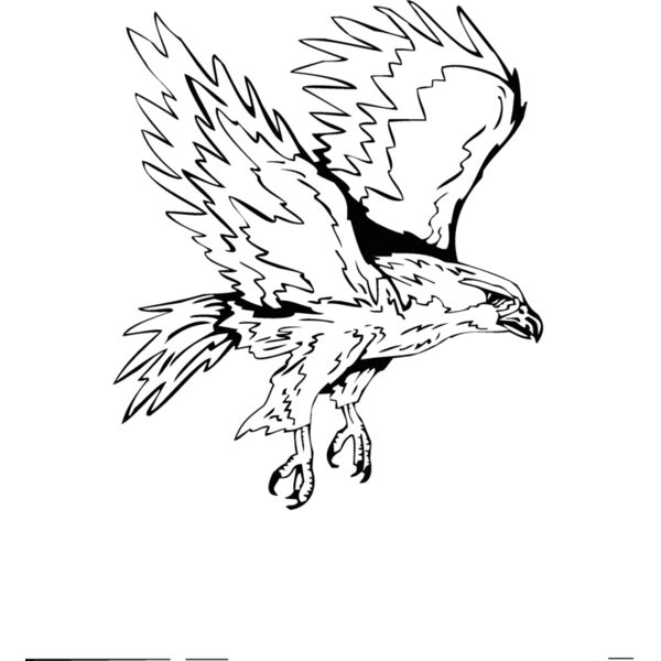 eagle21 Thumbnail