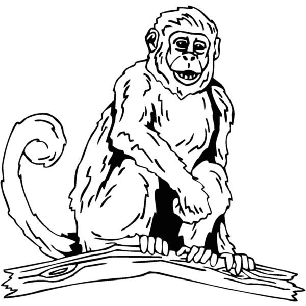 monkey3 Thumbnail